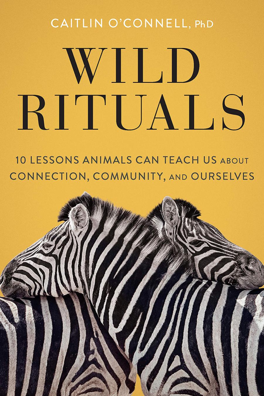 Wild Rituals by Caitlin O'Connell