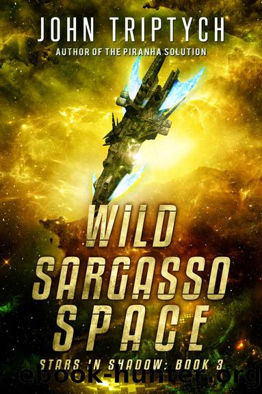 Wild Sargasso Space by John Triptych