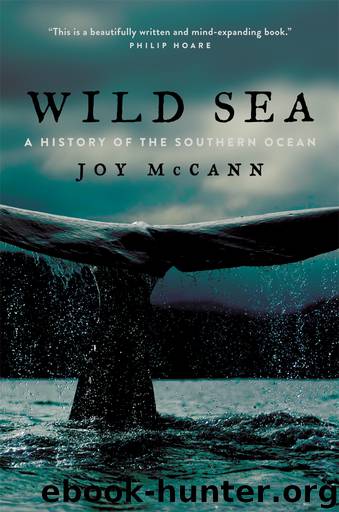 Wild Sea by Joy McCann