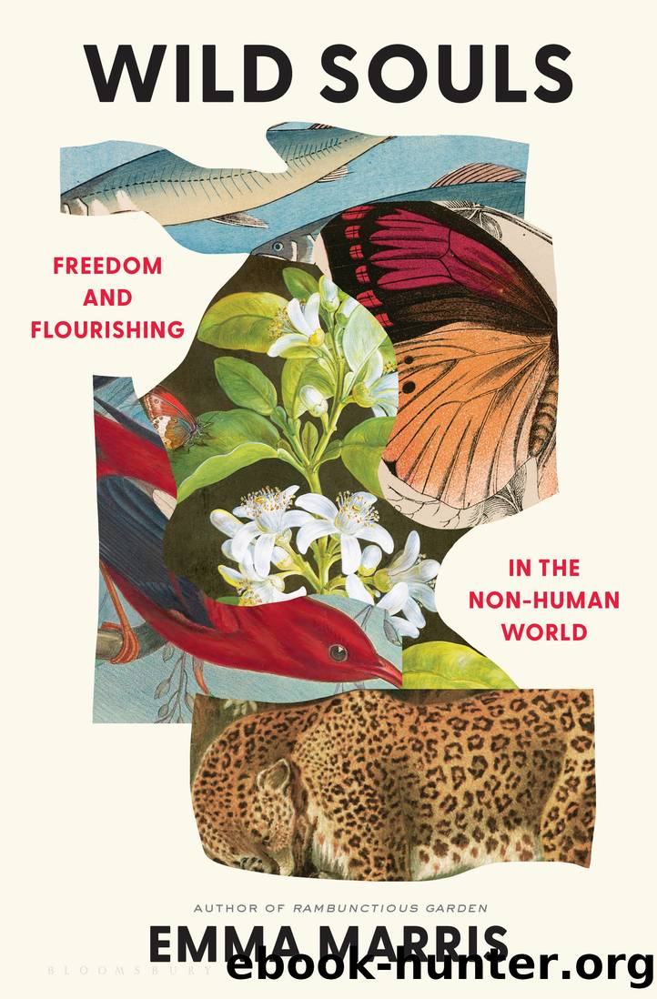 Wild Souls: Freedom and Flourishing in the Non-Human World by Emma Marris