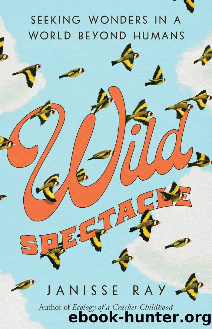 Wild Spectacle by Janisse Ray