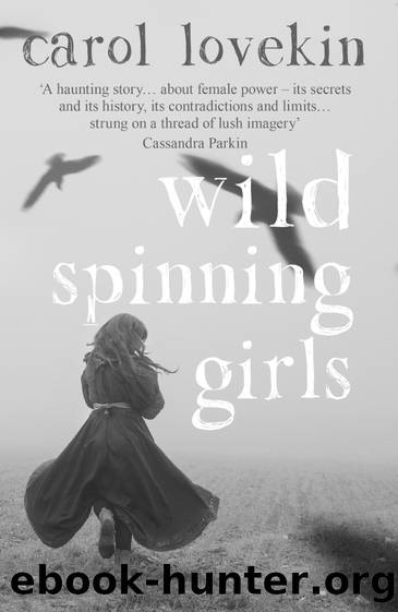 Wild Spinning Girls by Carol Lovekin