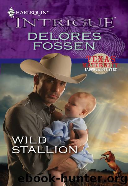 Wild Stallion by Delores Fossen