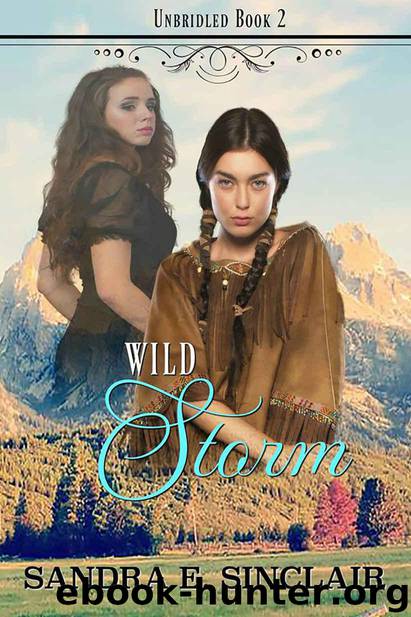 Wild Storm (The Unbridled Series Book 2) by Sinclair Sandra E