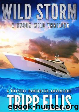 Wild Storm: A Coastal Caribbean Adventure (Tyson Wild Thriller Book 40) by Tripp Ellis