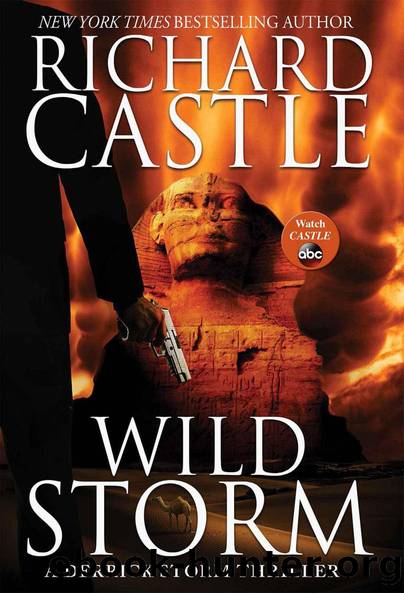 Wild Storm: A Derrick Storm Thriller by Richard Castle
