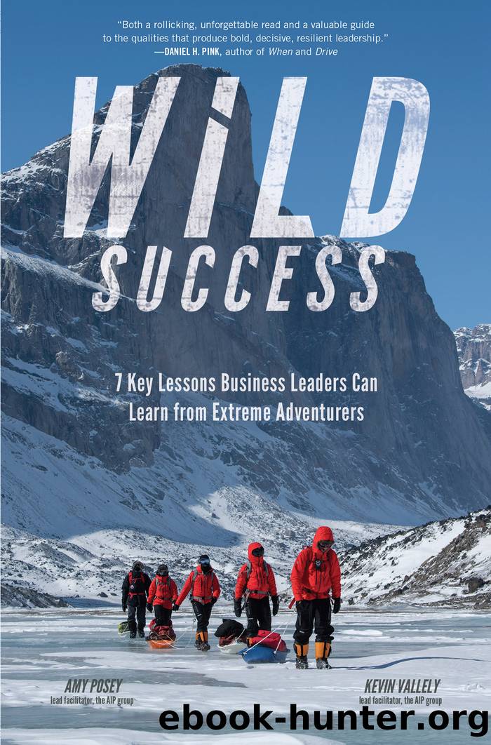 Wild Success by Amy Posey