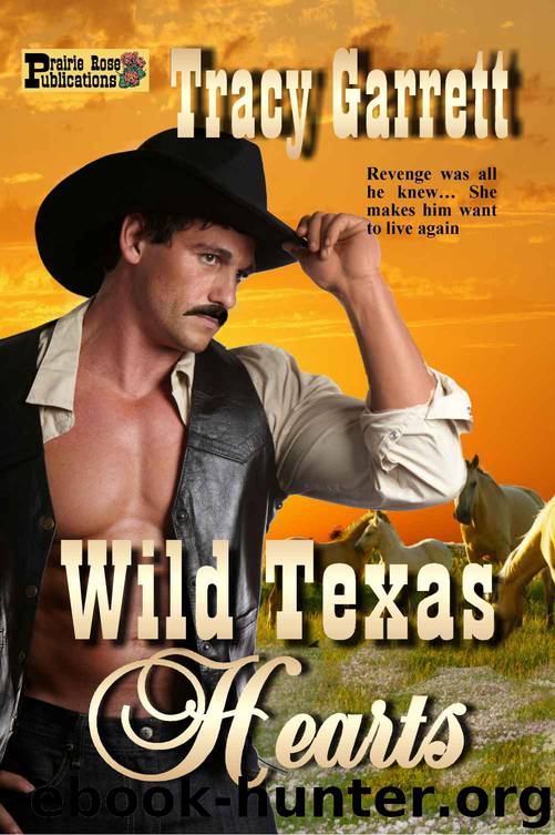 Wild Texas Hearts by Tracy Garrett