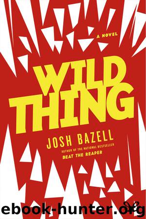 Wild Thing by Josh Bazell