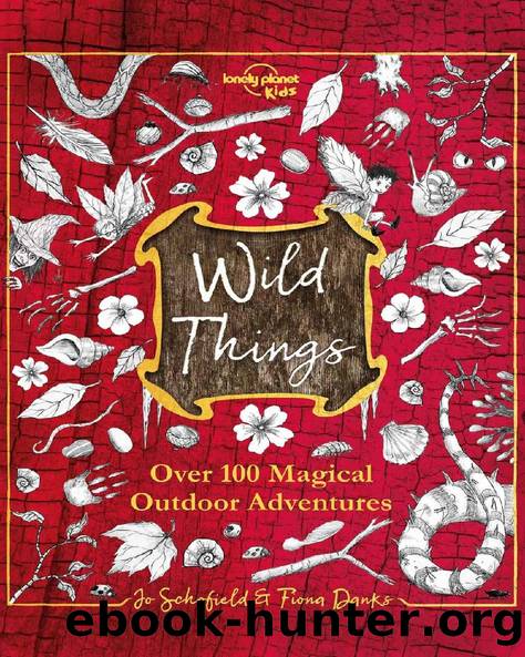Wild Things (Lonely Planet Kids) by Lonely Planet Kids & Fiona Danks & Jo Schofield