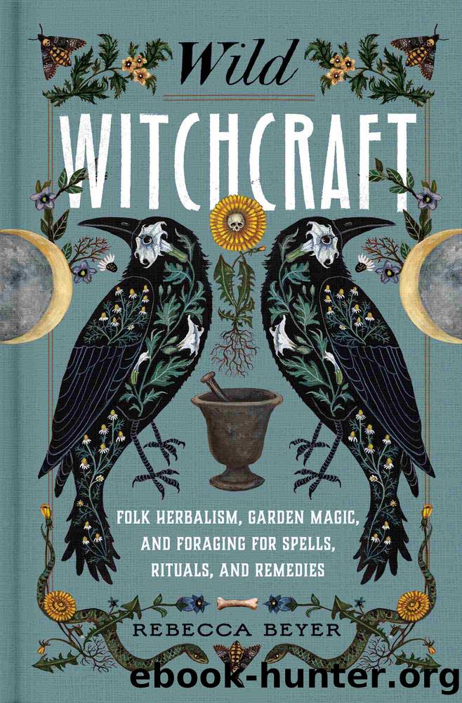 Wild Witchcraft by Rebecca Beyer