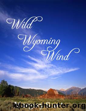 Wild Wyoming Wind by Margery Scott