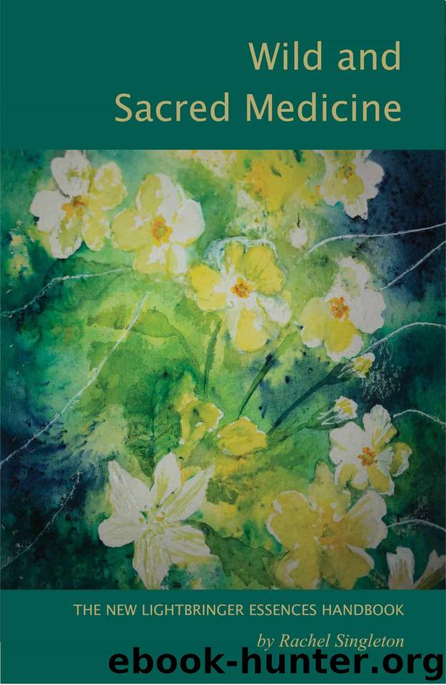 Wild and Sacred Medicine: The New LightBringer Essences Handbook by Singleton Rachel