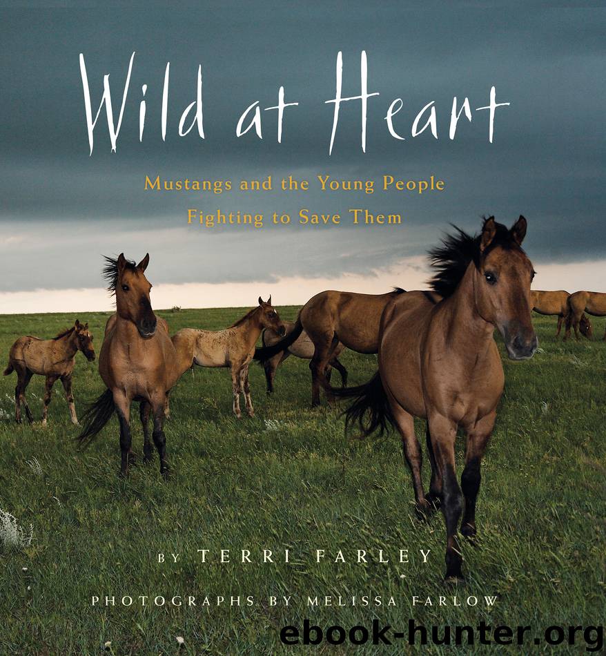 Wild at Heart by Terri Farley