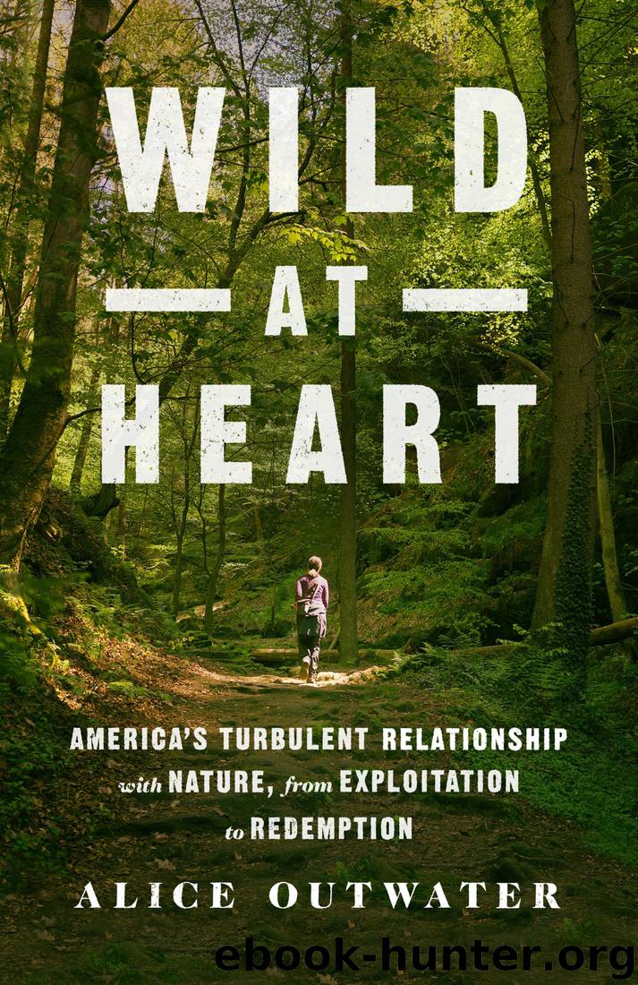 Wild at Heart: America's Turbulent Relationship With Nature, From Exploitation to Redemption by Alice Outwater