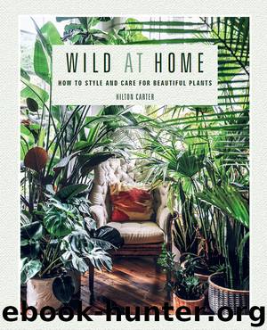 Wild at Home by Hilton Carter