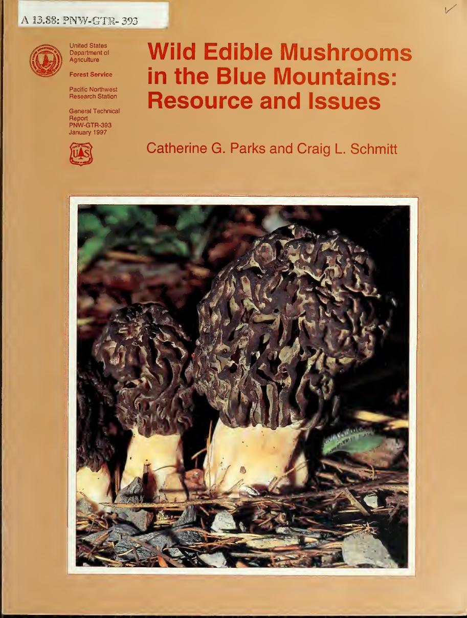 Wild edible mushrooms in the Blue Mountains : resource and issues by Parks Catherine G