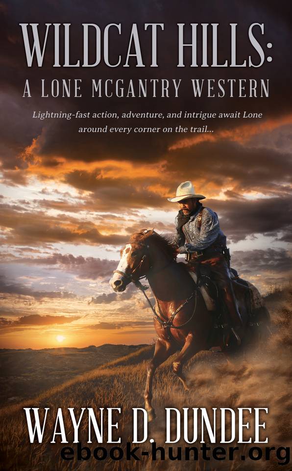 Wildcat Hills: A Lone McGantry Western by Dundee Wayne D