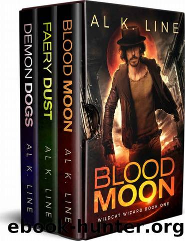 Wildcat Wizard Books 1-3 by Al K. Line