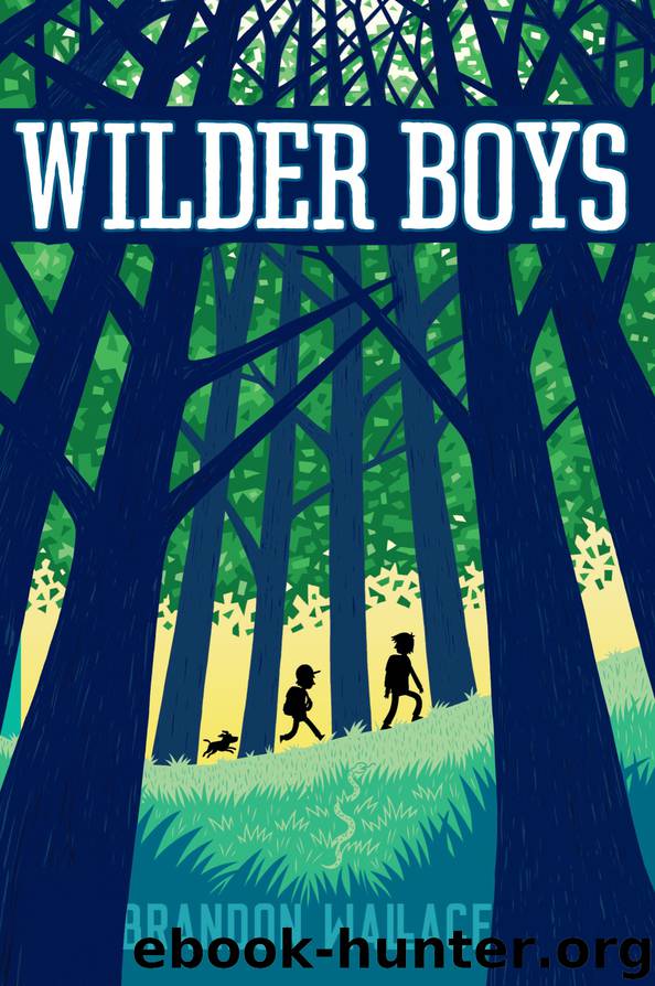 Wilder Boys by Brandon Wallace