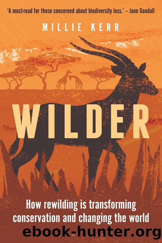 Wilder by Millie Kerr