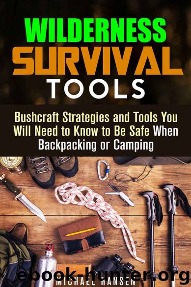 Wilderness Survival Tools: Bushcraft Strategies and Tools You Will Need to Know to Be Safe When Backpacking or Camping (Bushcraft Survival Guide) by Michael Hansen
