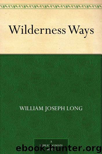 Wilderness Ways by William Joseph Long