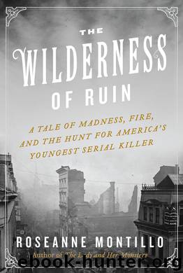 Wilderness of Ruin : A Tale of Madness, Fire, and the Hunt for America's Youngest Serial Killer (9780062273499) by Montillo Roseanne