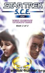 Wildfire (Book 2 of 2) by David Mack