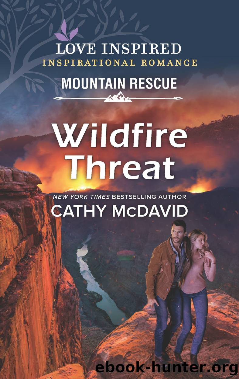Wildfire Threat by Cathy McDavid