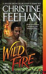 Wildfire by Christine Feehan
