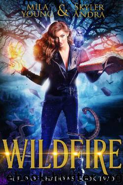 Wildfire: A reverse harem paranormal romance (Guild of Shadows Book 2) by Skyler Andra & Mila Young