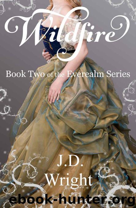 Wildfire: Book Two of the Everealm Series by Wright J.D