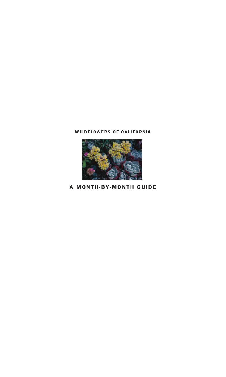 Wildflowers of California: A Month-by-Month Guide by Laird Blackwell