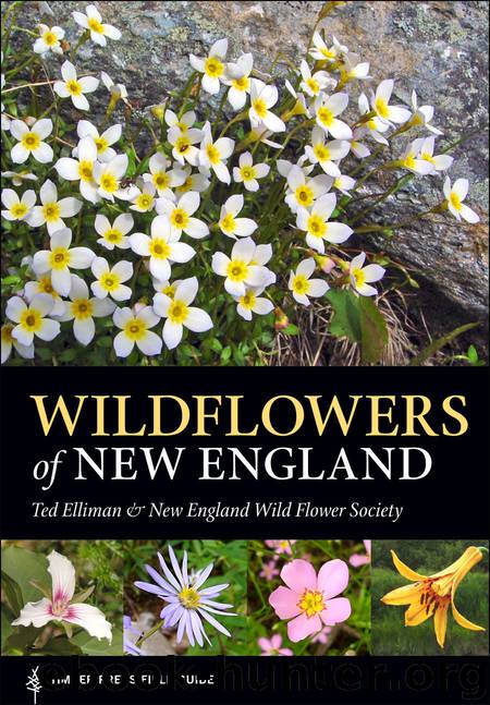 Wildflowers of New England by Ted Elliman