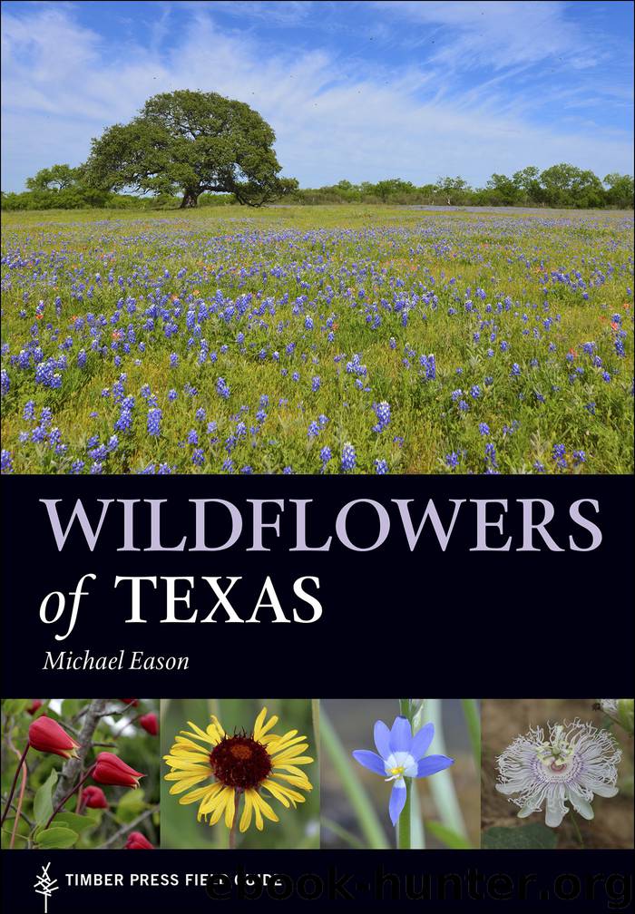 Wildflowers of Texas by Michael Eason