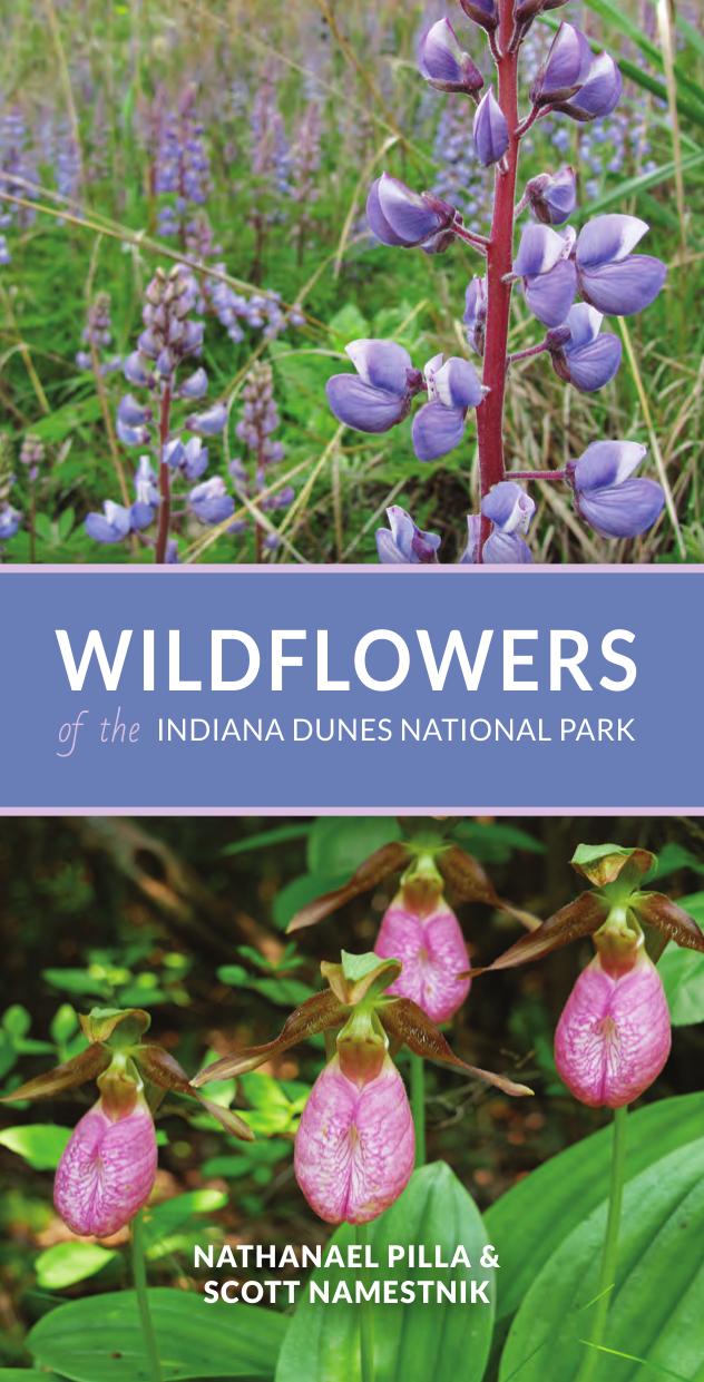 Wildflowers of the Indiana Dunes National Park by Nathanael Pilla and Scott Namestnik