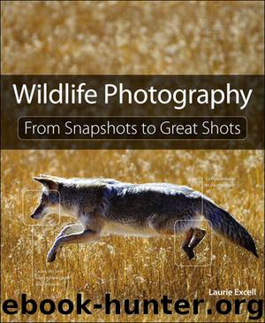 Wildlife Photography: From Snapshots to Great Shots (Eva Spring's Library) by Laurie Excell