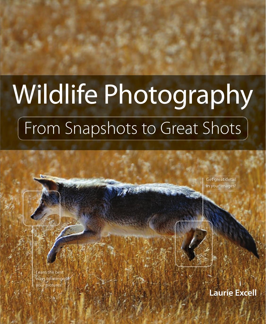 Wildlife Photography: From Snapshots to Great Shots by Laurie Excell