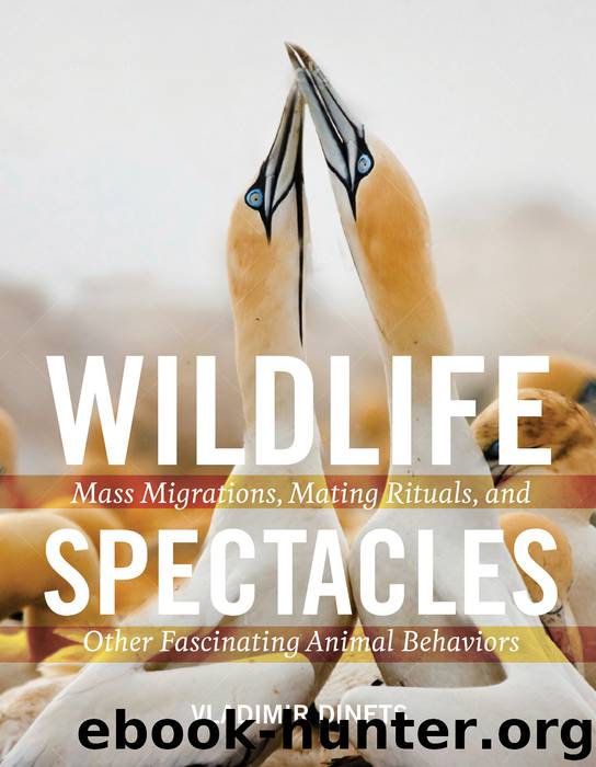 Wildlife Spectacles by Vladimir Dinets