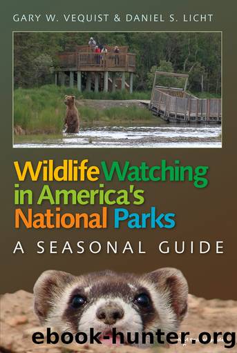 Wildlife Watching in America's National Parks by Vequist Gary W.;Licht Daniel S.;