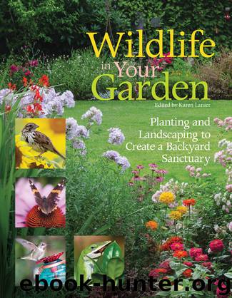 Wildlife in Your Garden by Karen Lanier