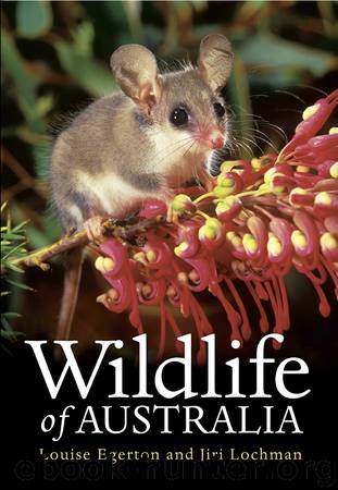 Wildlife of Australia by Louise Egerton