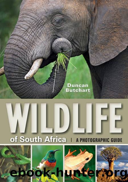Wildlife of South Africa by Duncan Butchart
