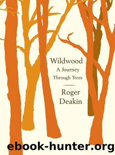 Wildwood: A Journey Through Trees by Roger Deakin