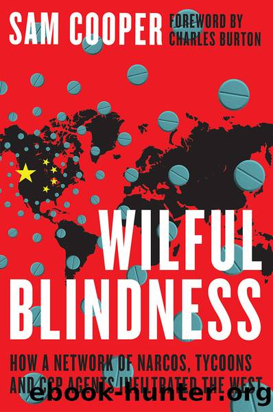 Wilful Blindness by Sam Cooper