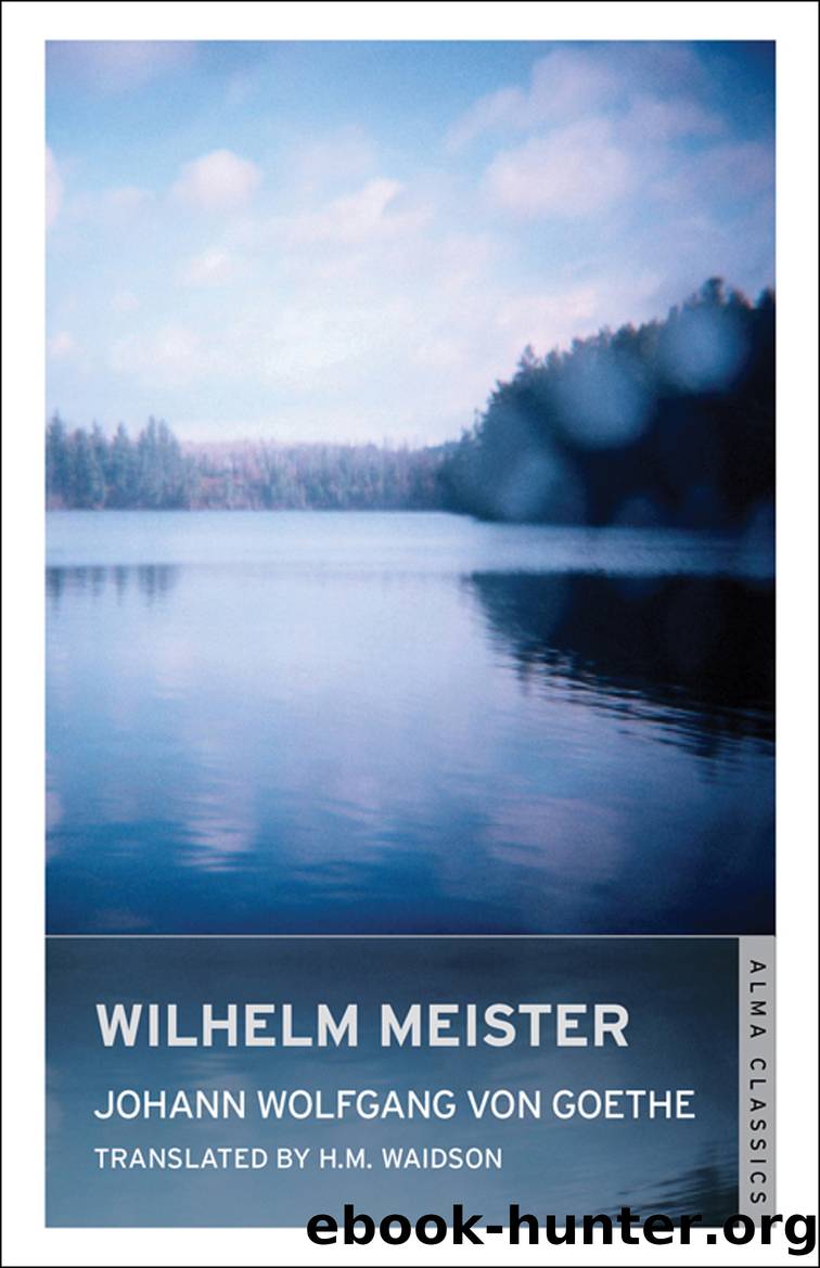 Wilhelm Meister by Johann Wolfgang von Goethe