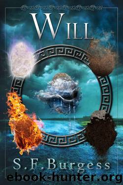 Will (Book 2) by S.F Burgess