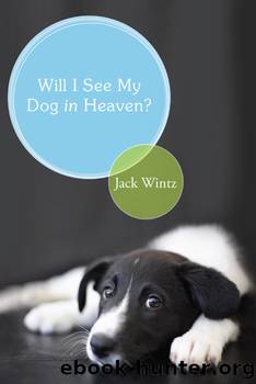 Will I See My Dog in Heaven? by Jack Wintz