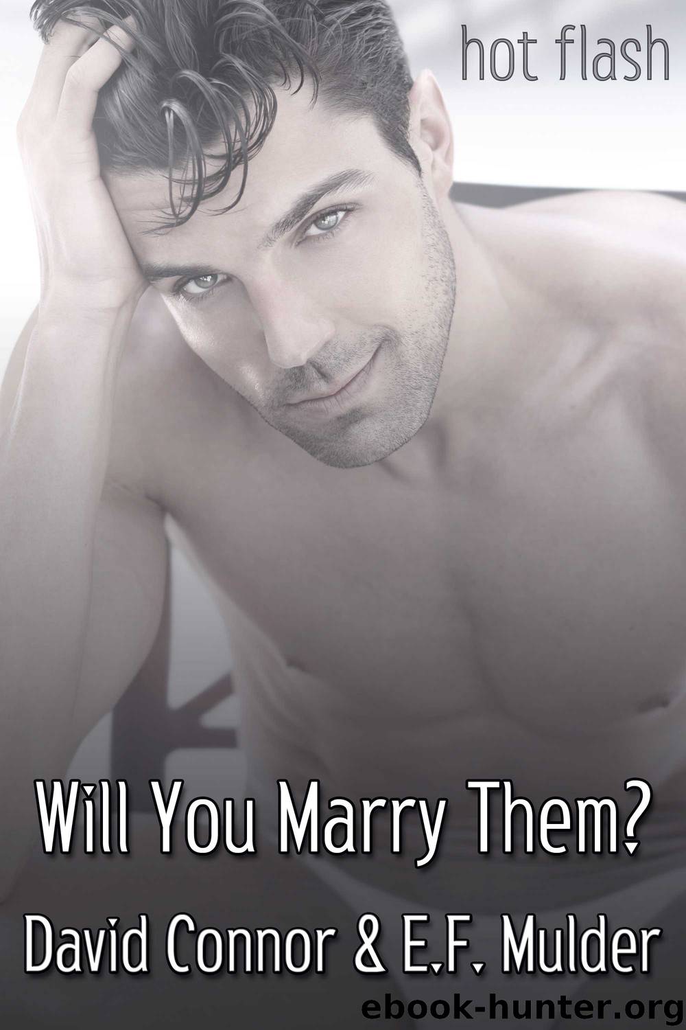 Will You Marry Them? by David Connor